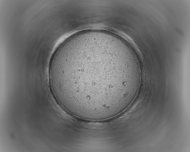 X0000115031176200911091336