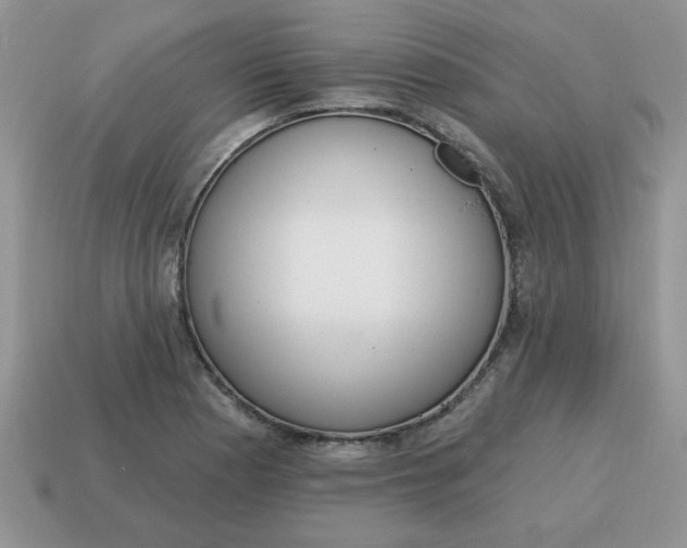 X0000115031177200911091336