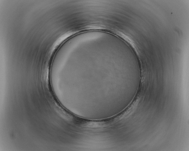 X0000115031179200911091336