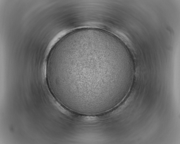 X0000115031180200911091336