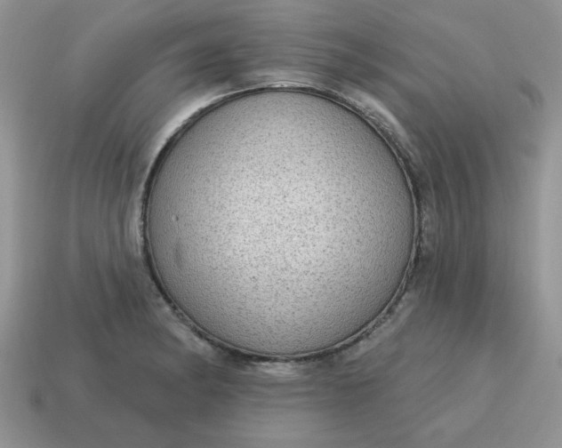 X0000115031182200911091336