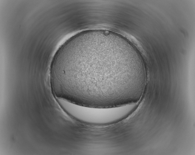 X0000115031184200911091336