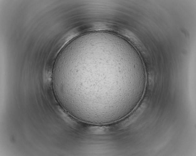 X0000115031185200911091336