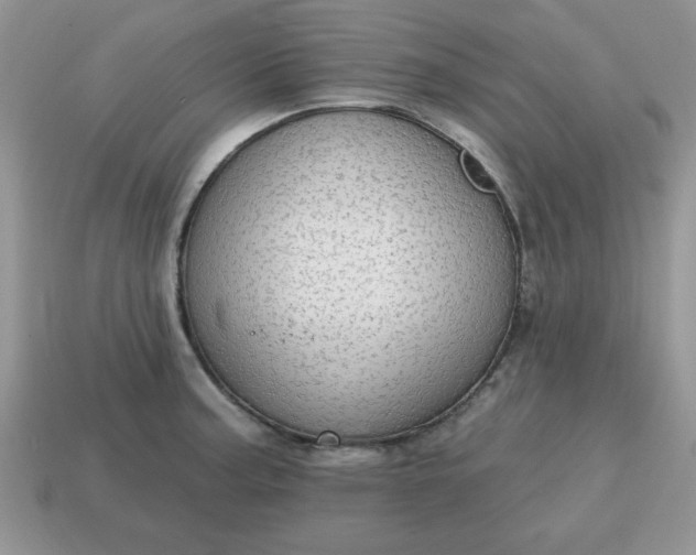 X0000115031187200911091336