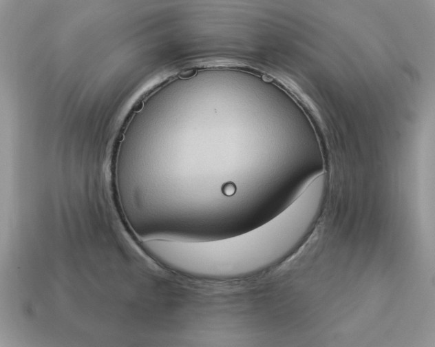 X0000115031189200911091336