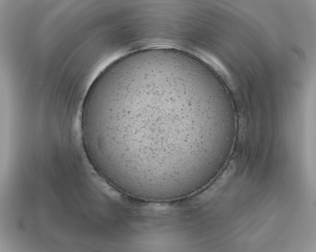 X0000115031190200911091336