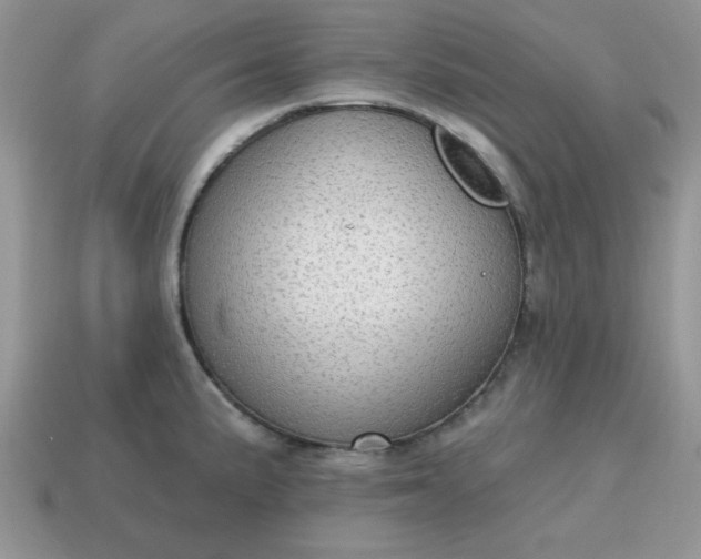 X0000115031191200911091336