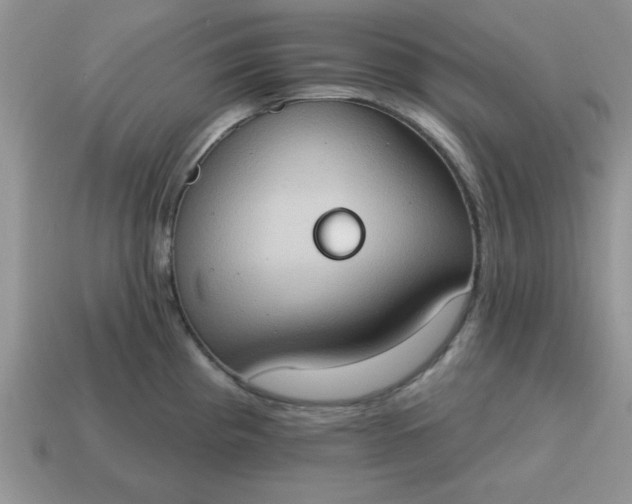 X0000115031193200911091336