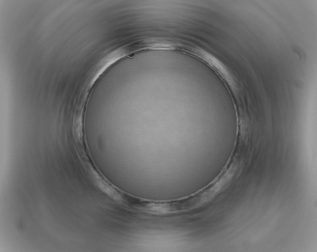X0000115031194200911091336