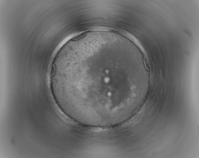 X0000115031195200911091336