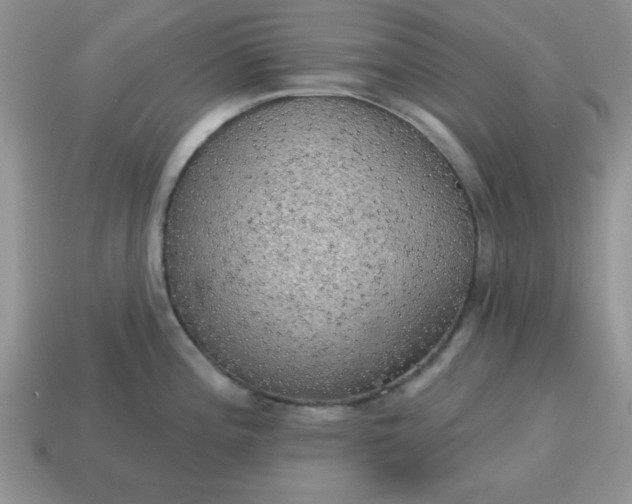 X0000115031196200911091336