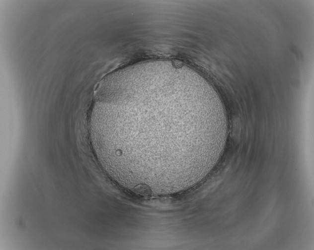 X0000115031201200911091335