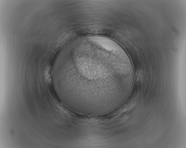 X0000115031202200911091335