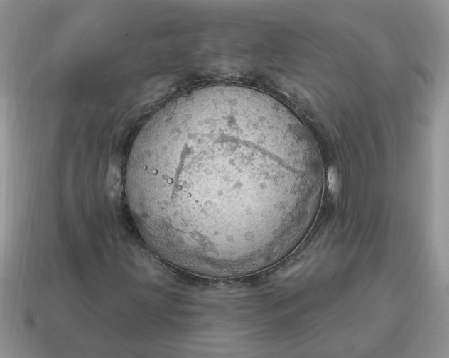 X0000115031203200911091335