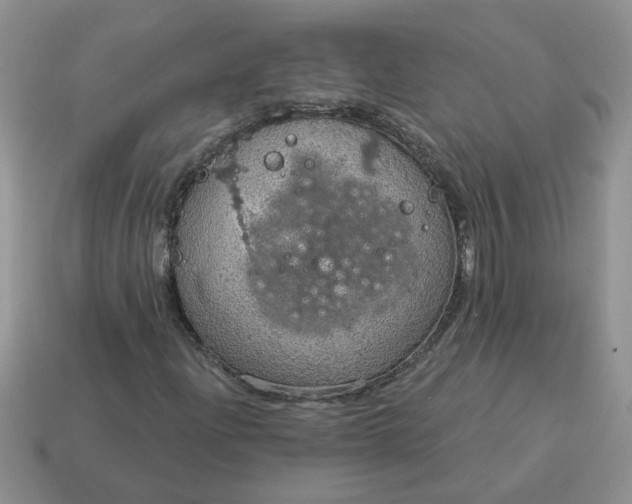 X0000115031204200911091335