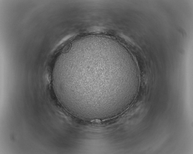 X0000115031206200911091335