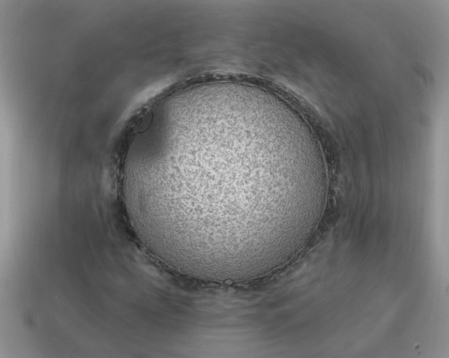 X0000115031207200911091335