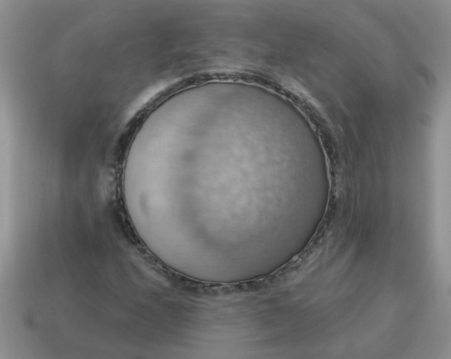 X0000115031208200911091335