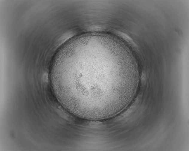 X0000115031209200911091335