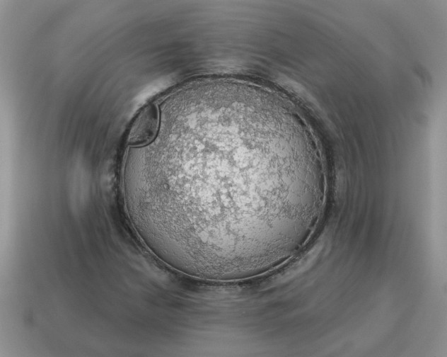 X0000115031210200911091335
