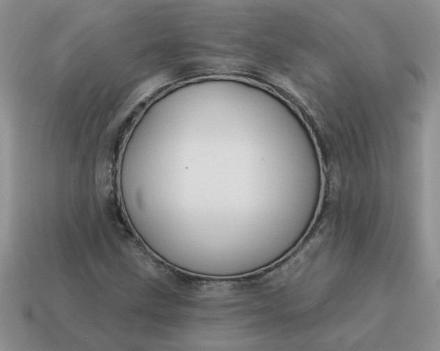 X0000115031211200911091335
