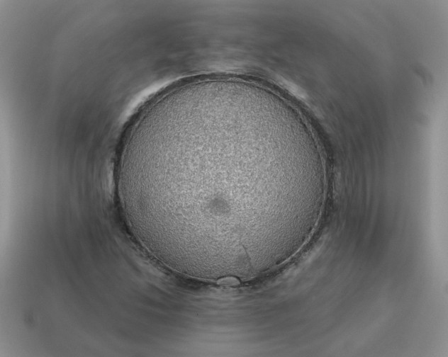 X0000115031214200911091335