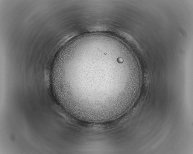 X0000115031217200911091335