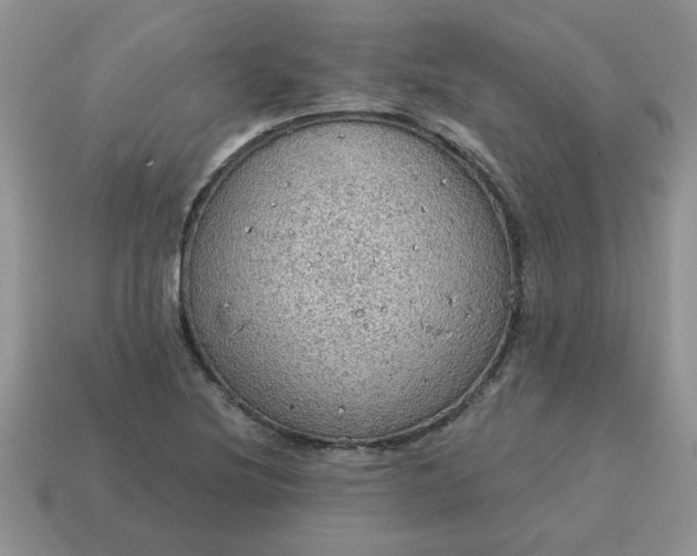 X0000115031220200911091335