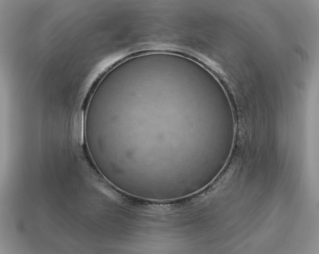X0000115031223200911091335