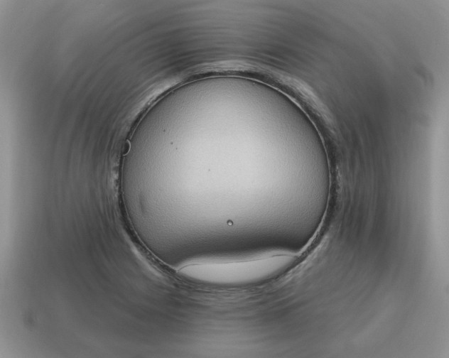 X0000115031225200911091335