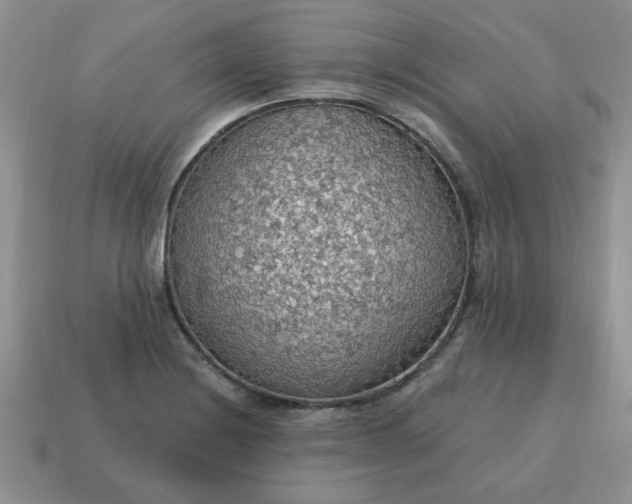 X0000115031228200911091335