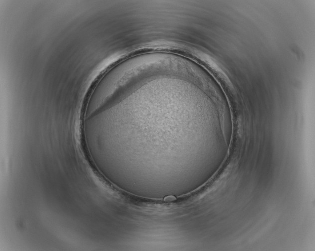 X0000115031229200911091336