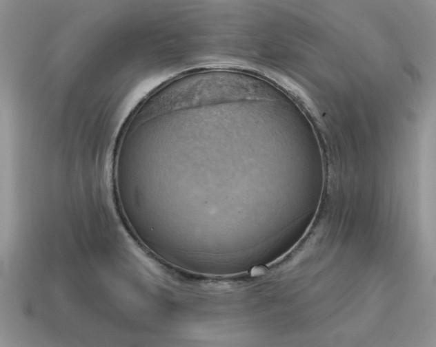 X0000115031231200911091336