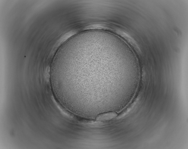 X0000115031233200911091336