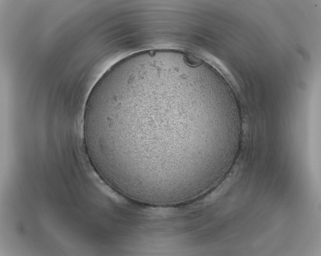 X0000115031236200911091336