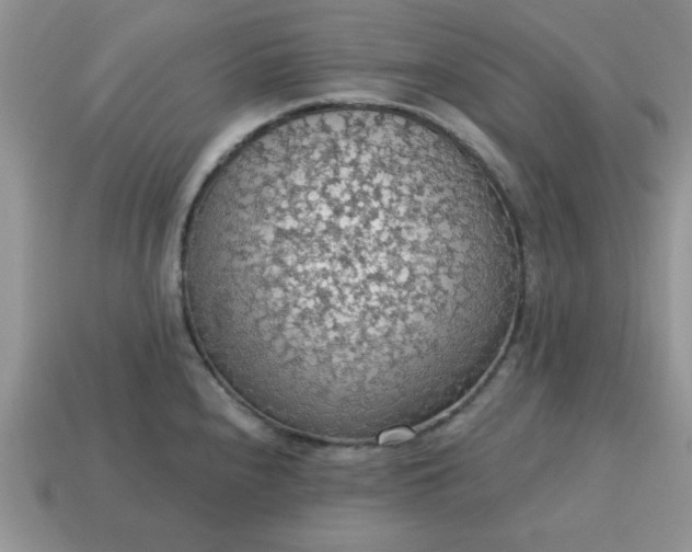 X0000115031240200911091336