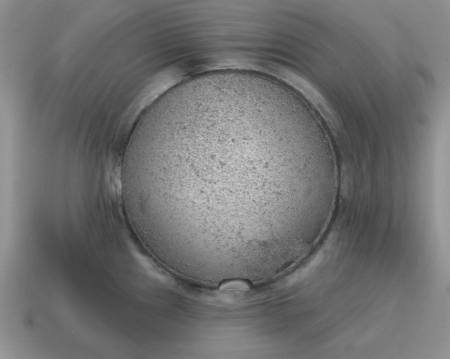 X0000115031241200911091336