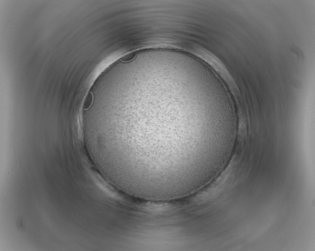 X0000115031242200911091336