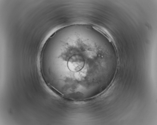 X0000115031243200911091336