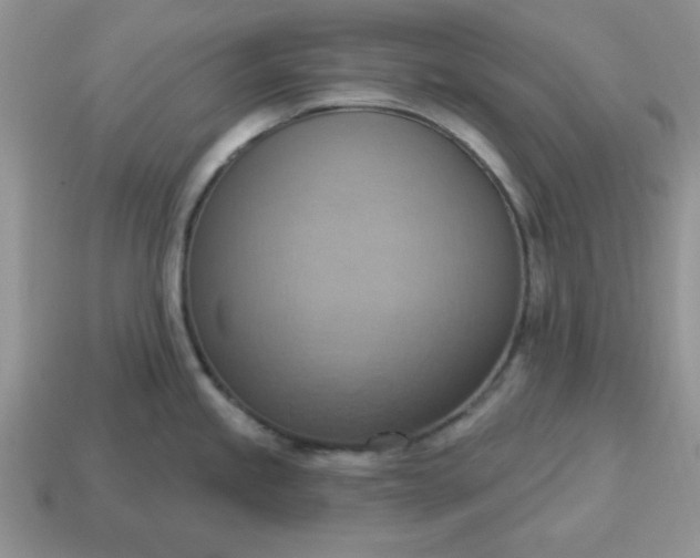 X0000115031245200911091336