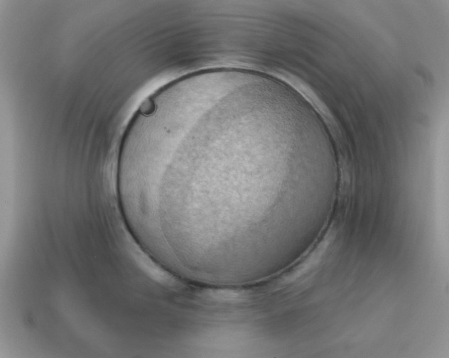 X0000115031246200911091336