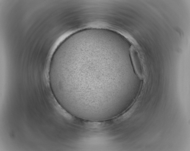 X0000115031248200911091336