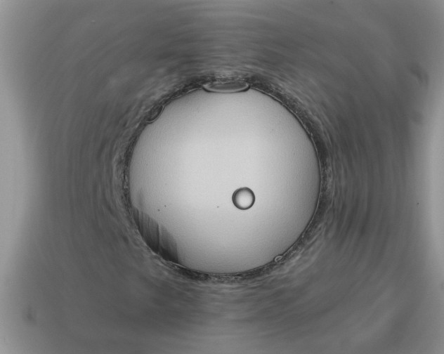 X0000115031249200911091335