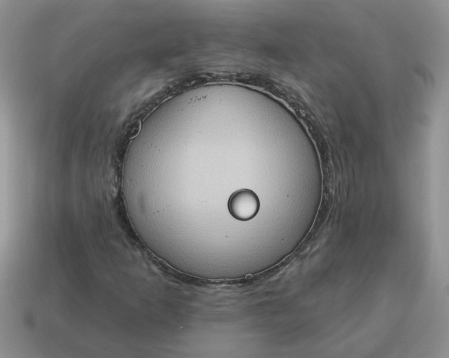 X0000115031253200911091335