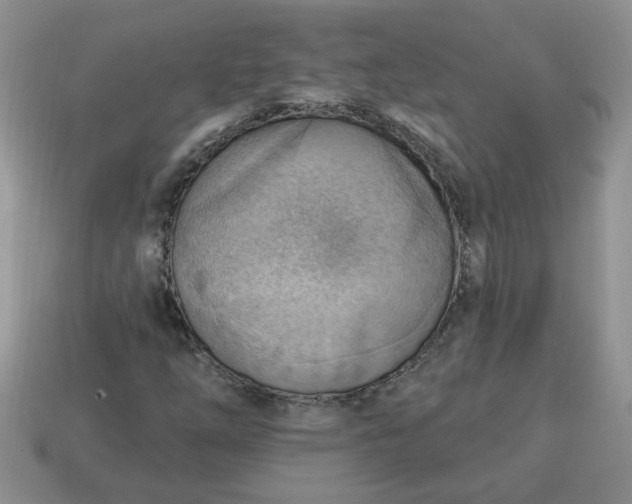 X0000115031254200911091335