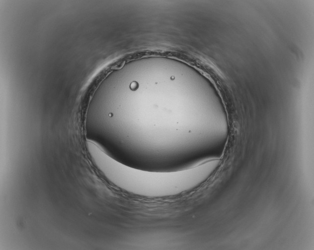 X0000115031256200911091335