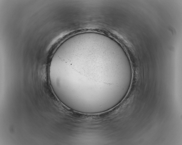 X0000115031262200911091335