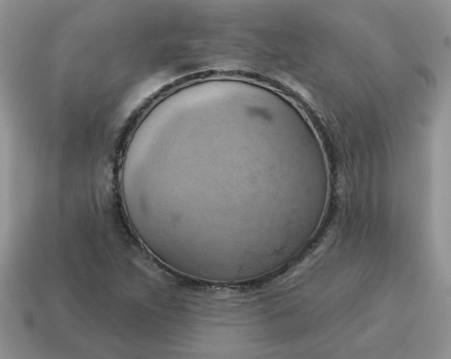 X0000115031263200911091335