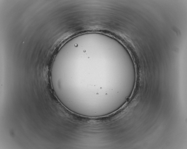 X0000115031265200911091335