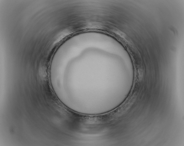 X0000115031266200911091335